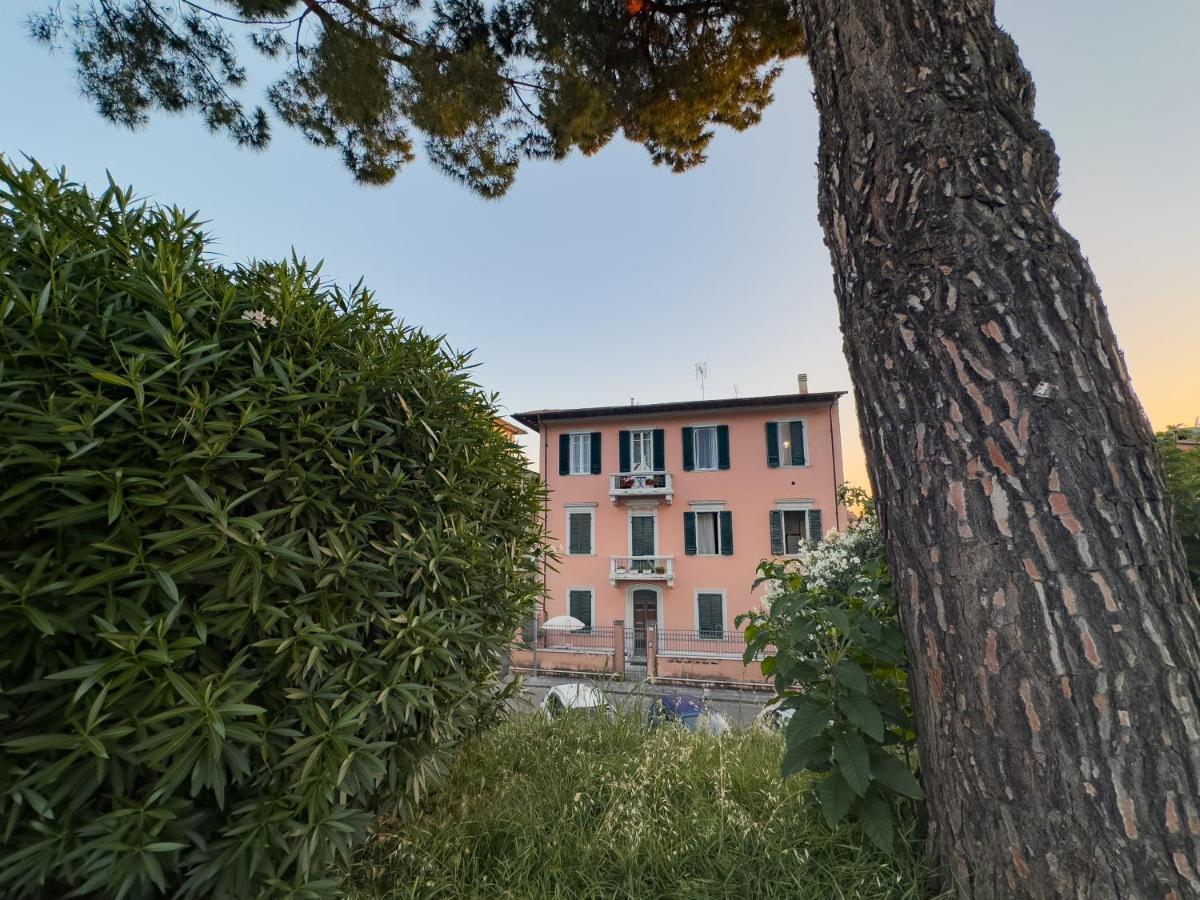 פיזה La Casa Di Eli Appartamenti מראה חיצוני תמונה